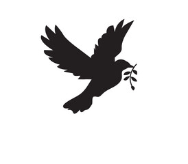 Fototapeta premium eagle with wings