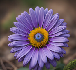 A rowleaf balsamroot wild flower close up. a close up of a yellow flower with a sky in the background and a few white flowers in the foreground. Generative Ai