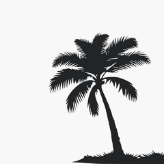Fototapeta na wymiar palm tree silhouette isolated