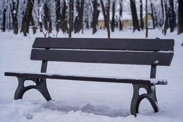 bench in a public park in winter. white background with snow.