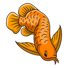 Funny cute arowana fish cartoon - 715225044