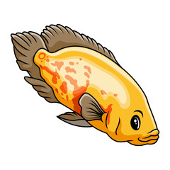 Oscar fish cartoon a swimming - 715225481