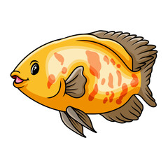 Oscar fish cartoon a swimming - 715225499