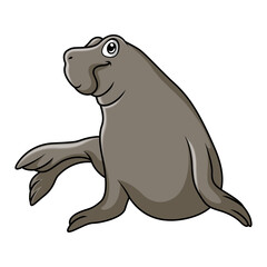 Funny Elephant seals are relaxing - 715228440