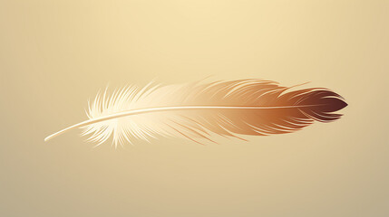 natural color of a single, delicate feather, its details simplified into clean lines and soft,
