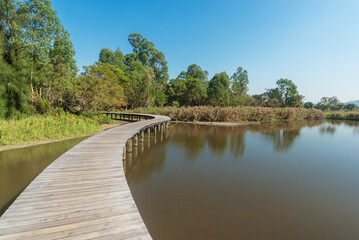 Wooden trail and pond in Hong Kong wetland park