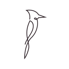 woodpecker line icon logo vector