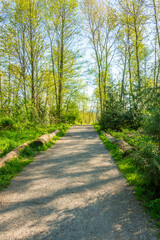 Trail in Park with Wooden Path on Fall in Vancouver, Canada.