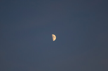 half-moon 