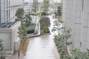 staircase in the garden