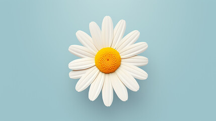 illustration of a simple, single daisy, its petals and yellow center reduced to essential forms
