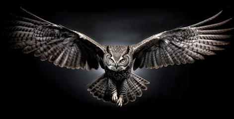 Poster eagle owl isolated on black background with white highlight, generative ai © John