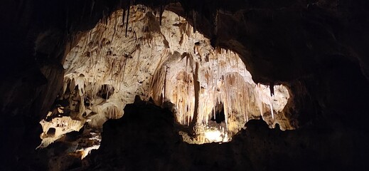 A scenic view of the cave at Carlsbad Caverns National Park in New Mexico.
