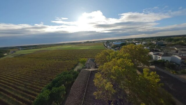 Sunlit vineyard in Baillargues, Southern France - FPV drone flyover
