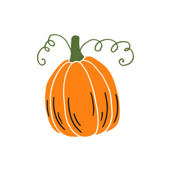 Pumpkin. Thanksgiving and Halloween Elements. Hand drawn vector illustration.