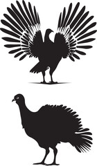 Turkey bird black silhouette icon on white background 