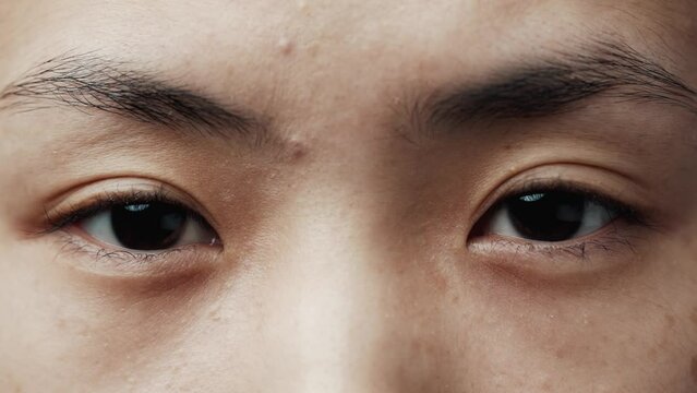 Portrait of Asian Woman Face with Ethnic Eyes Looking at Camera Close Up. Serious Vision of One Japanese Person with Youth Features. Modern Concept of Good Sighted Young Student Gazing and Thinking