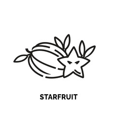 lineart starfruit logo illustration suitable for fruit shop and fruit farm