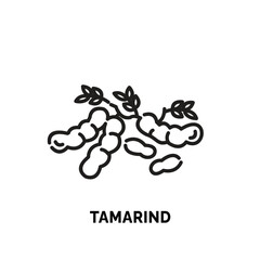 lineart tamarind logo illustration suitable for fruit shop and fruit farm