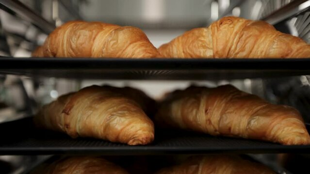 Freshly baked croissants on metallic shelves, close-up, elevator shot