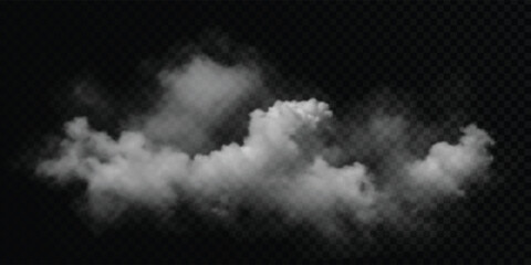 Naklejka premium Vector cloud on a transparent background, smoke. Gradient mesh.