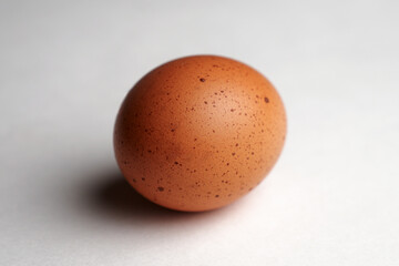 Brown egg on a white background with copy space