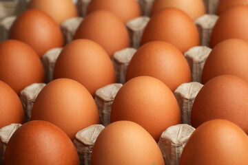 Fresh eggs for sale at a market. Brown eggs