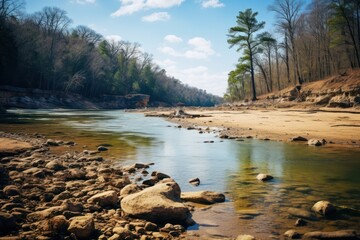  a river running through a forest filled with lots of rocks and a forest filled with trees on the other side of the river.
