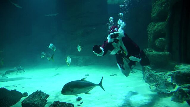 Santa underwater in scuba diving swims in a flock of fish and sharks. 4k super slow motion 120 fps raw cinematic video filmed on Nikon z9 at 8k
