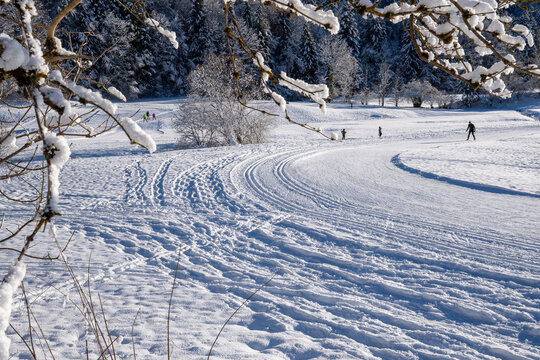 View of the ski trail for skating and classic style in the mountaineering village of Sachrang in Chiemgau, Bavaria, Germany in winter