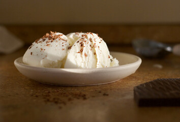 Creamy ice cream with chocolate chips in a bowl on the table