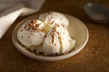 Creamy ice cream with chocolate chips in a bowl on the table