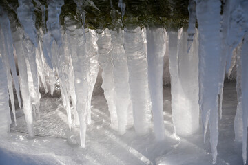 Many icicles next to each other below a cattle trough with backlight over snow