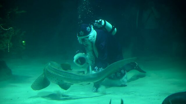 Santa underwater in scuba diving swims in a flock of fish and sharks. 4k super slow motion 120 fps raw cinematic video filmed on Nikon z9 at 8k