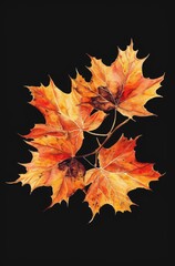 Fototapeta premium autumn leaves on a black background