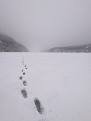 Footprints i snow