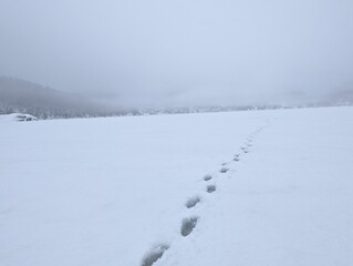 traces on snow