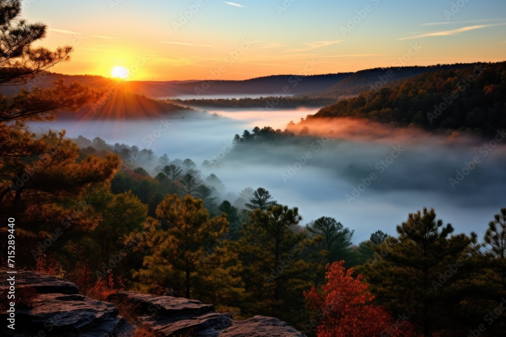 Poster the sun is setting over a foggy valley with pine trees in the foreground and fog in the foreground.