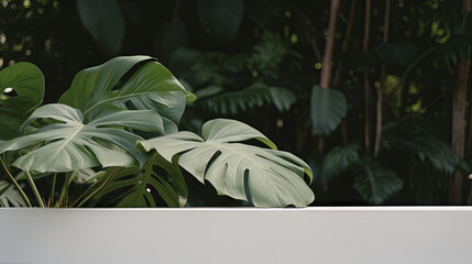 Minimal white podium with green leaves natural background for cosmetic products display, Empty natural platform
