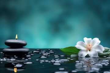  a white flower sitting on top of a body of water next to a black rock with a candle on top of it.