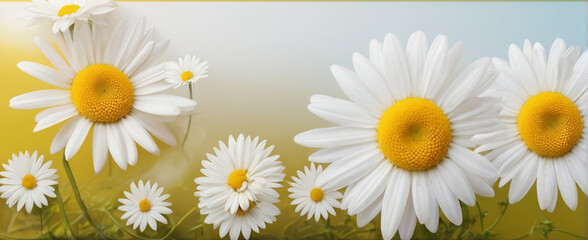 Template with daisies . AI 