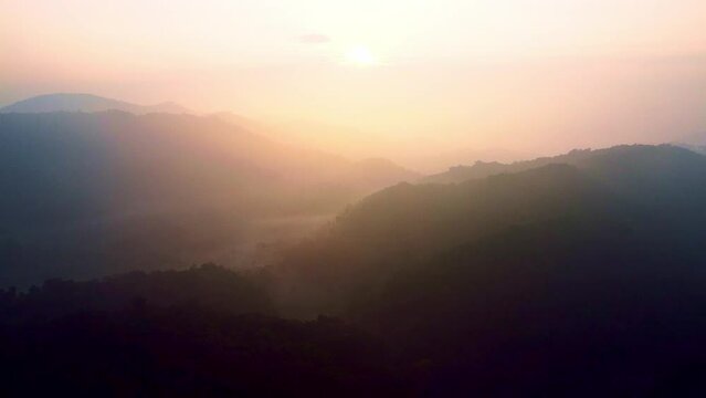 Ariel shot of Trees tops of forests of coorg in Karnataka, India