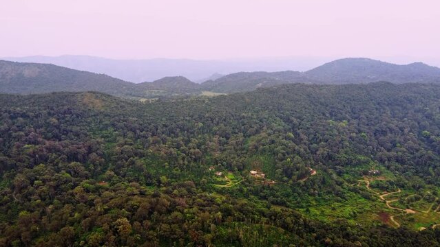 Ariel shot of Trees tops of forests of coorg in Karnataka, India