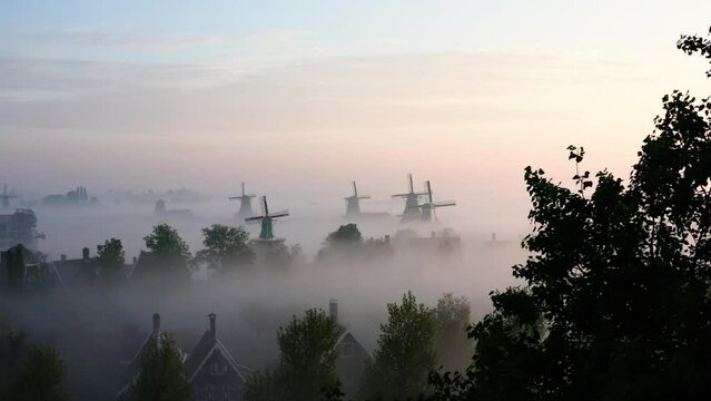 The drone is flying forward towards windmills passing a big tree with lots of mis during sunrise in de Zaanse Schans The Netherlands Aerial Footage 4K