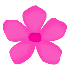 pink flower illustration design