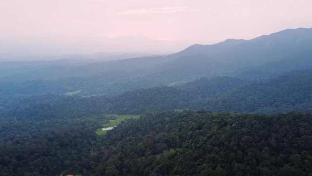 Ariel shot of Trees tops of forests of coorg in Karnataka, India
