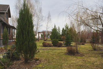 early spring garden view with conifers and shrubs. Seasonal garden work
