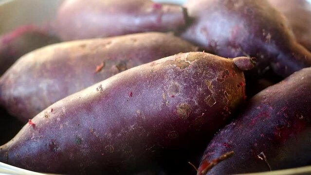 Steaming sweet potatoes in pot, in studio Chiangmai Thailand.