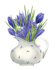 Bouquet of purple crocuses in a porcelain milk jug. Watercolor vintage illustration on white background. Spring garden flowers arrangement