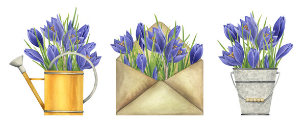 Collection of spring floral illustrations with purple crocuses. Watercolor vintage garden illustrations on white background. Bouquets of crocuses in a watering can, bucket and envelope